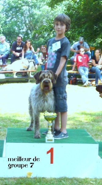 des Lichères Eagle white (enzo)