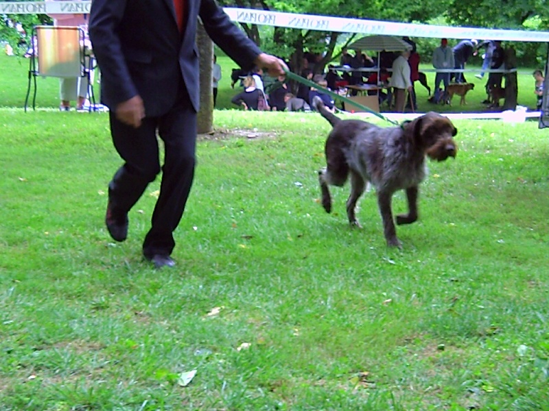 EXPO DE COGNAC JUIN 2009-CACS