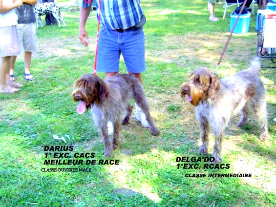 JONZAC 2009. DARIUS ET DELGA'DO